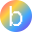bongle.io